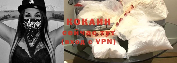 дмт Ладушкин