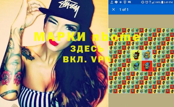 дмт Ладушкин