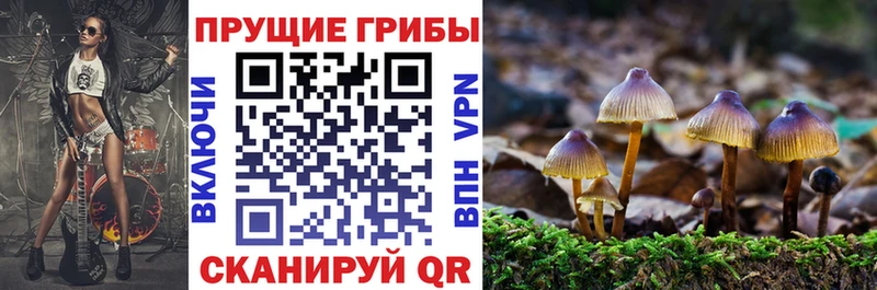 купить наркотики цена  Нефтеюганск  Галлюциногенные грибы мухоморы 